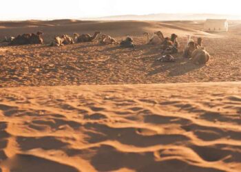 Gurun berhampiran Marrakech