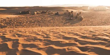 מדבר ליד מרקש