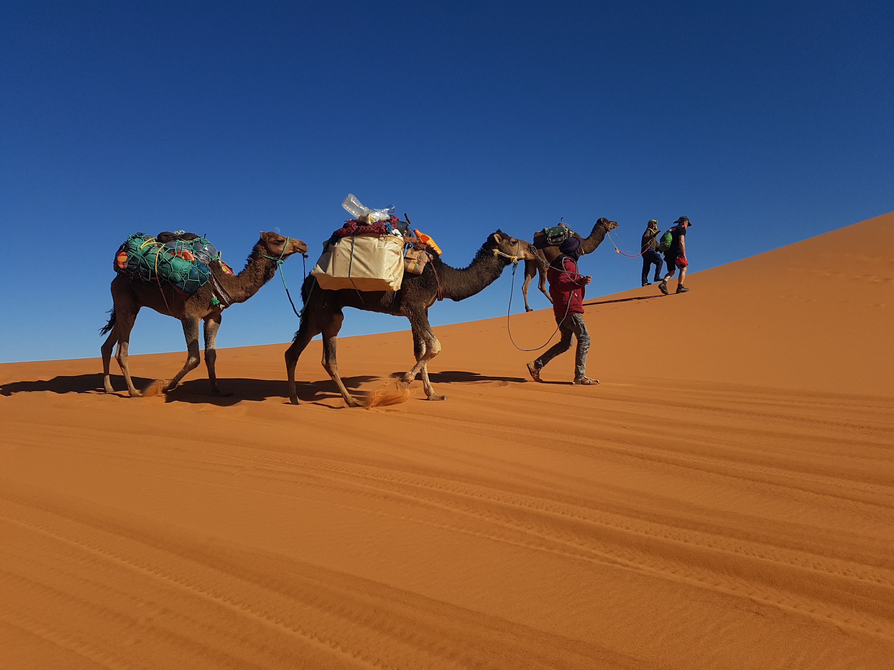 Diferencias Entre El Desierto De Merzouga Y De Zagora Blog Viajes 360 Marruecos