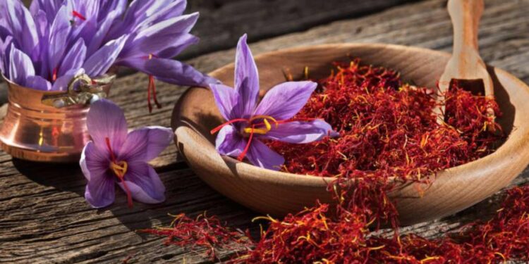 Szafran Taliouine, czerwone złoto