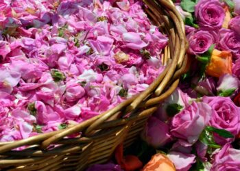 Festival de las rosas de Kelaa M’Gouna