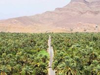 Excursión 3 días al desierto y Marrakech desde Casablanca