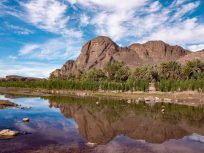 Excursión de 1 Día al Oasis de Fint desde Ouarzazate