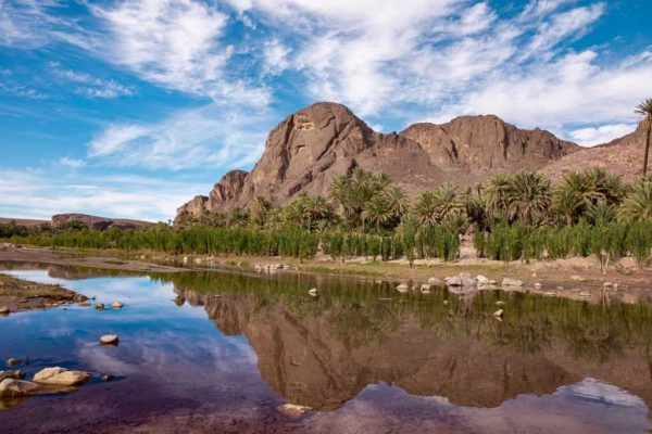 Excursión de 1 Día al Oasis de Fint desde Ouarzazate