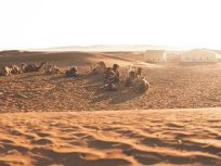 Excursión de 2 Días al Desierto de Zagora desde Marrakech
