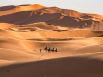 Tour Fin de Año en el Desierto desde Tanger
