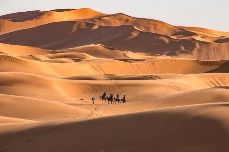 Tour Fin de Año en el Desierto desde Tanger