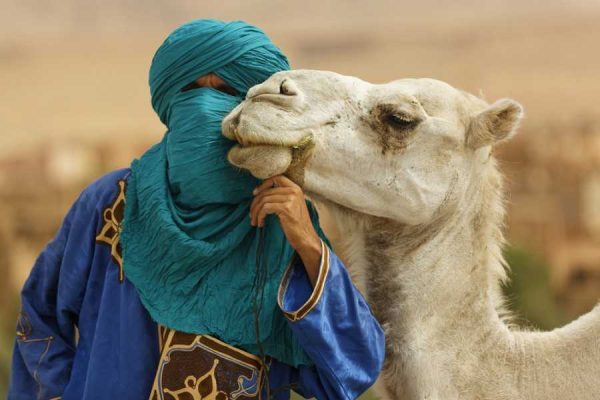 VIAJES ORGANIZADOS A MARRUECOS
