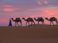 Las mejores actividades en Marruecos