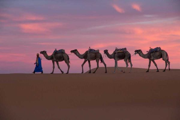 Las mejores actividades en Marruecos