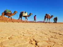 Senderismo & Trekking en el Desierto del Sahara